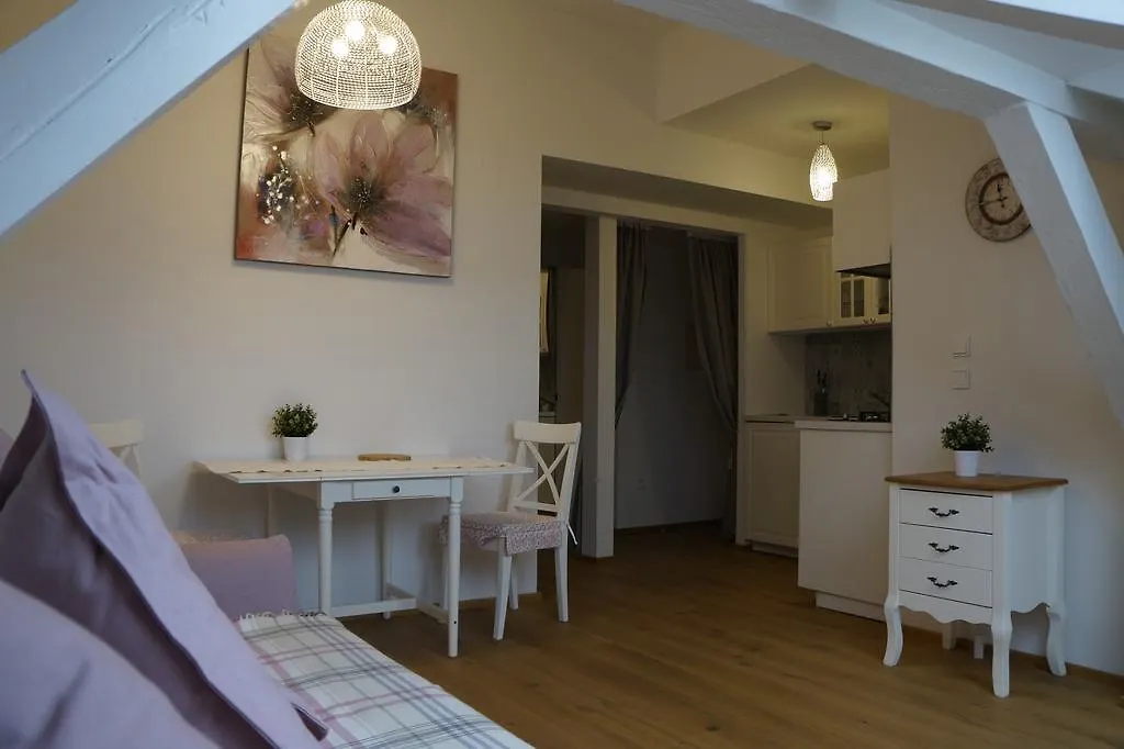 Vinohradska Residence Apartment Praga